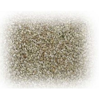 thumb-6reA66as_320x320.jpg